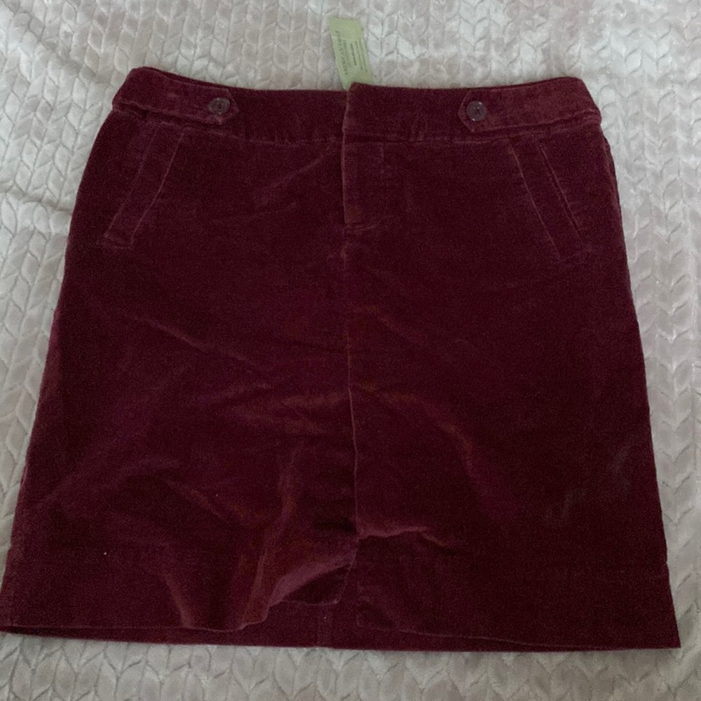 American Eagle 🦅 velvet mini skirt